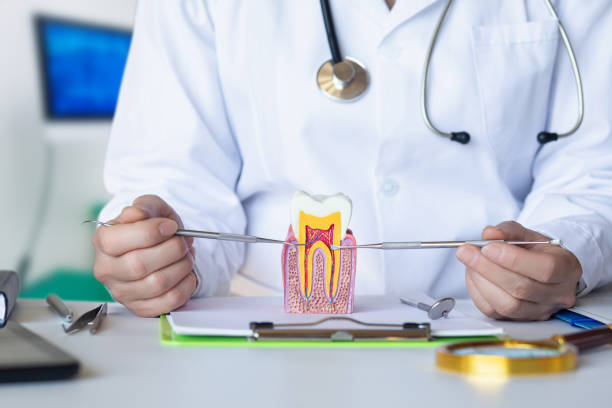 Best Emergency Dental Care for Broken or Chipped Teeth in Abbeville, SC